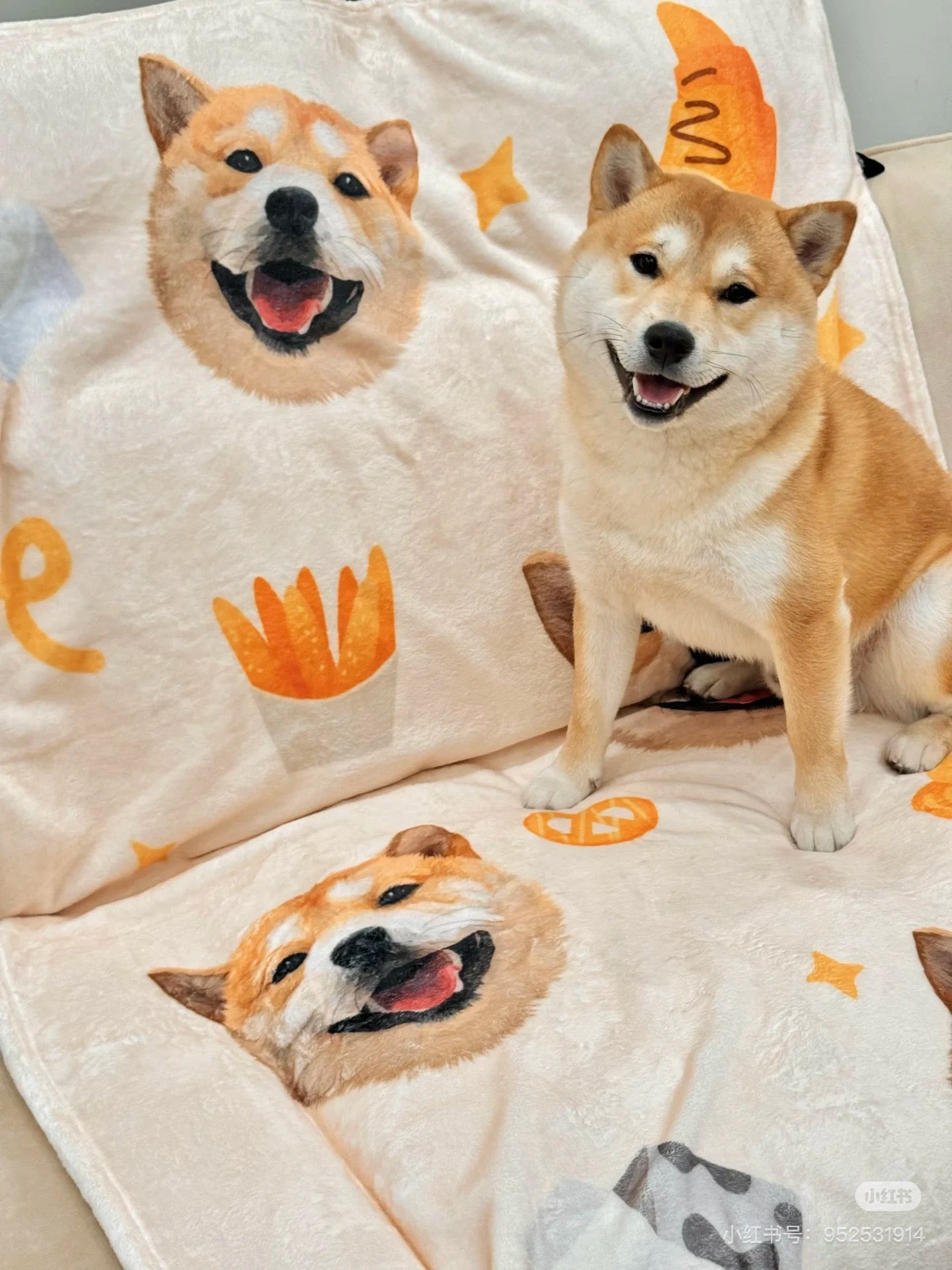 宠物定制毛毯